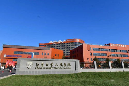 辐射北三县 这些重点项目都已开工 副中心优质教育和医疗资源持续聚集